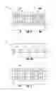 Fig. 06 - Array of memory cells and methods of forming an array of memory cells