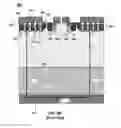 Fig. 04 - Device structure having inter-digitated back to back MOSFETs