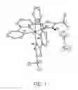 Fig. 02 - Iridium complex and nitrogen-containing tridentate ligand