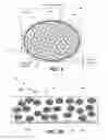 Fig. 02 - COMPOSITE STRUCTURES CONTAINING HIGH CAPACITY POROUS ACTIVE MATERIALS CONSTRAINED IN SHELLS