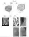 Fig. 02 - Negative electrode active material for secondary battery, conductive composition for secondary battery, negative electrode material comprising same, negative electrode structure and secondary battery comprising same, and method for manufacturing same