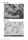 Fig. 35 - Method for manufacturing positive electrode active material, and lithium ion battery