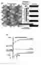 Fig. 01 - Interfacial layers for solid-state batteries and methods of making same