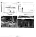 Fig. 09 - Interfacial layers for solid-state batteries and methods of making same