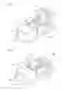 Fig. 08 - Connector