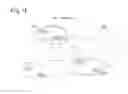 Fig. 02 - Multiuser transreceiving method in wireless communication system and device for same