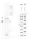 Fig. 07 - Method for transmitting and receiving signal in wireless communication system and apparatus for performing same