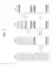 Fig. 08 - Method and device for allocating resource unit on basis of container in wireless LAN