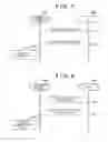 Fig. 06 - Communication apparatus having parallel wireless connection, communication method, and non-transitory computer-readable storage medium