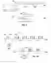 Fig. 09 - Method and system for initial synchronization and collision avoidance in device to device communications without network coverage