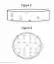 Fig. 04 - MICROWAVE DISH WITH HEAT PEDESTAL