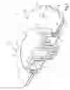 Fig. 02 - Line-type grass cutting head with cutting blade