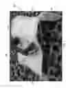 Fig. 02 - Apparatuses and methods for forming concrete curbing