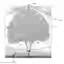 Fig. 01 - SHIELD FOR PROTECTING PLANTS