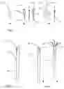 Fig. 02 - Plant propagule root-growing device