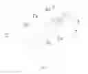 Fig. 08 - Pet tractor