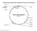 Fig. 01 - ANIMAL MODEL FOR NEPHROPATHY AND AGENTS FOR TREATING THE SAME
