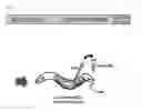 Fig. 02 - METHOD OF REGULATING LIFESPAN USING TRANSGENIC CAENORHABDITIS ELEGANS