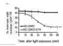 Fig. 06 - METHOD OF REGULATING LIFESPAN USING TRANSGENIC CAENORHABDITIS ELEGANS