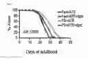 Fig. 07 - METHOD OF REGULATING LIFESPAN USING TRANSGENIC CAENORHABDITIS ELEGANS