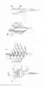 Fig. 01 - FISH CAPTURE DEVICE WITH RELEASE MECHANISM