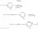 Fig. 07 - Antibacterial textile and method for preparing the same