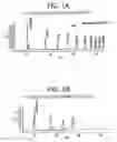 Fig. 02 - ACIDIFIED PROTEINACEOUS BEVERAGES AND COMPOSITIONS