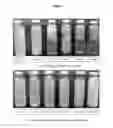 Fig. 08 - Mineral fortification process and its uses
