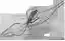 Fig. 01 - Fruit slicer and juicer apparatus and method