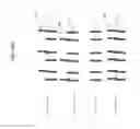 Fig. 35 - EYELASH EXTENSION METHOD AND EYELASH APPLICATION KIT