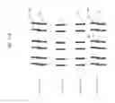Fig. 43 - EYELASH EXTENSION METHOD AND EYELASH APPLICATION KIT