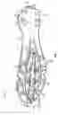 Fig. 06 - Sole structure for article of footwear having a nonlinear bending stiffness