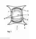 Fig. 02 - DEVICE AND METHOD FOR FIXING A RELATIVE GEOMETRIC POSITION OF AN EYE
