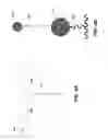 Fig. 07 - CATHETER BALLOON EMPLOYING FORCE SENSING ELEMENTS