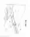 Fig. 17 - APPARATUS FOR THE TREATMENT OF TISSUE
