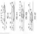 Fig. 78 - Clot retrieval system