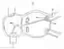 Fig. 01 - Systems and methods for cryoablation of a tissue