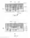 Fig. 35 - Systems and methods for creating an effect using microwave energy to specified tissue