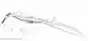 Fig. 01 - Interdental brush and cleaning device for the same