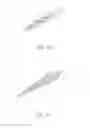 Fig. 09 - Interdental brush and cleaning device for the same