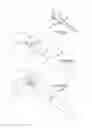 Fig. 04 - Cervical distraction/implant delivery device