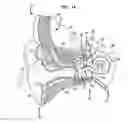 Fig. 02 - Inner ear plug