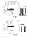 Fig. 07 - Compositions, methods of use, and methods of treatment