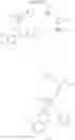 Fig. 35 - Aminoester derivatives