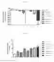 Fig. 02 - Methods and compositions for decreasing gastric emptying