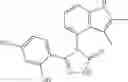 Fig. 09 - COMBINATION THERAPY OF HSP90 INHIBITORY COMPOUNDS WITH CHK INHIBITORS