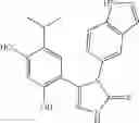 Fig. 101 - COMBINATION THERAPY OF HSP90 INHIBITORY COMPOUNDS WITH CHK INHIBITORS