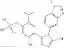 Fig. 110 - COMBINATION THERAPY OF HSP90 INHIBITORY COMPOUNDS WITH CHK INHIBITORS