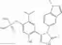 Fig. 113 - COMBINATION THERAPY OF HSP90 INHIBITORY COMPOUNDS WITH CHK INHIBITORS