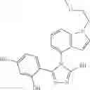 Fig. 14 - COMBINATION THERAPY OF HSP90 INHIBITORY COMPOUNDS WITH CHK INHIBITORS